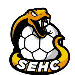 SUD ESTUAIRE HANDBALL CLUB